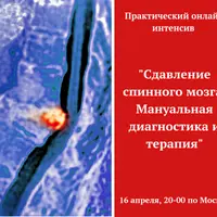 Сдавление спинного мозга. Мануальная диагностика и терапия