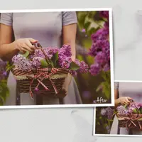 Набор наложений для фотографий: Сиреневая фантазия