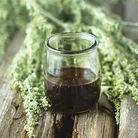 Мацераты круглый год