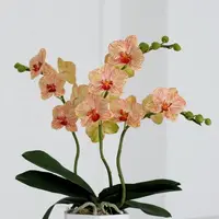 Орхидейка RAVELLO из фоамирана