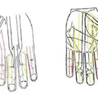Бёль-меридианы. Вебинар № 1