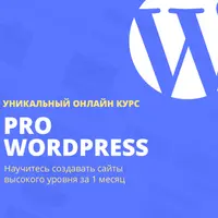 Pro Wordpress
