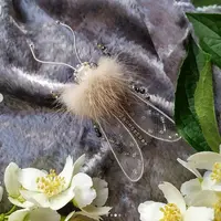 Чудесные стрекозки