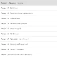 Курс самостоятельной тренировки ударной техники