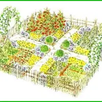 Декоративный огород