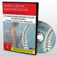 Мануальная терапия поясничного и грудного отделов позвоночника в прикладной кинезиологии