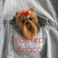 Звероварежки и звероброши. Шпицы