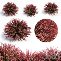 Сборник 3D-моделей. Июль 2019. Часть 2