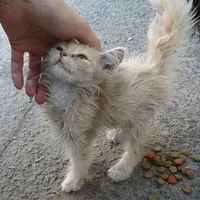 Я избавлю от бедности и страданий