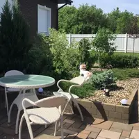 Принципы устройства неприхотливого сада