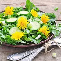 Дикоросы в нашем питании