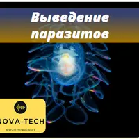 Выведение паразитов