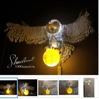 Полярная сова