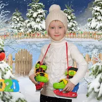 Новогодний фотоколлаж mn1121