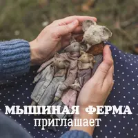 Мышиная ферма