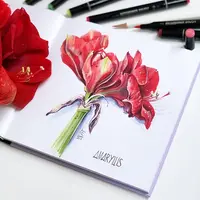 Мастер-класс Амариллис