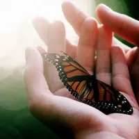 Привлечение любви