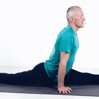 Теория гибкости