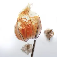 Физалис акварелью