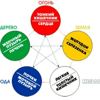 Круг У-Син: ваш личный секрет здоровья