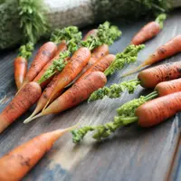 Молоденькая морковь с ботвой