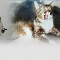 Абсолютно новые котики. Практика