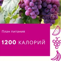 Готовый план питания на 1200 ккал