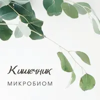 Гид по микробиоте: дисбактериоз, питание, пробиотики