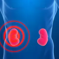 Стресс, надпочечники, кортизол