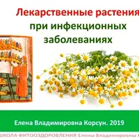 Фитооздоровление при инфекционных заболеваниях