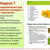 Фитооздоровление при заболеваниях желудка и кишечника