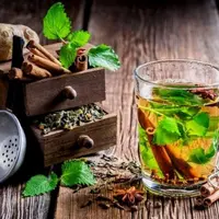 Фитотерапия при детоксикации