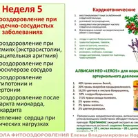 Фитооздоровление при сердечно-сосудистых заболеваниях