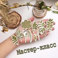 Создание наклеек из гербария