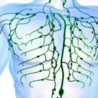 Чистая лимфа: красота, молодость и здоровье