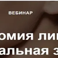 Анатомия лица: орбитальная зона