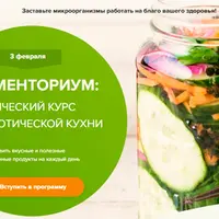 Ферменториум: практический курс пробиотической кухни