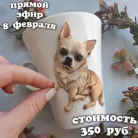 Чихуахуа на кружке