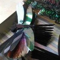 Мастер-класс «Бабочки и стрекозы»