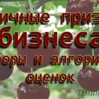 Вторичные признаки бизнеса. Наборы оценок, алгоритм