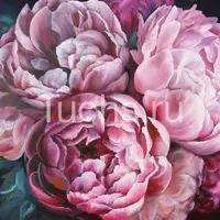 Пионовый курс 2