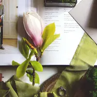 Окрашивание шелковых лент