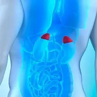 Перезагрузка: надпочечники