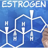 Эстрогены. Роль и функции в мужском и женском организме. Важные нюансы