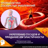 Укрепление сосудов и придание эластичности их стенкам