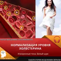 Нормализация уровня холестерина