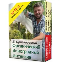 Органический виноградный интенсив