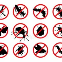 Все-все вредители: как предупредить и решить проблемы