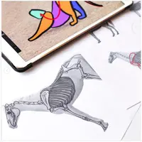 Вебинары по анималистике