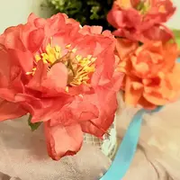 Вафельный Древовидный пион